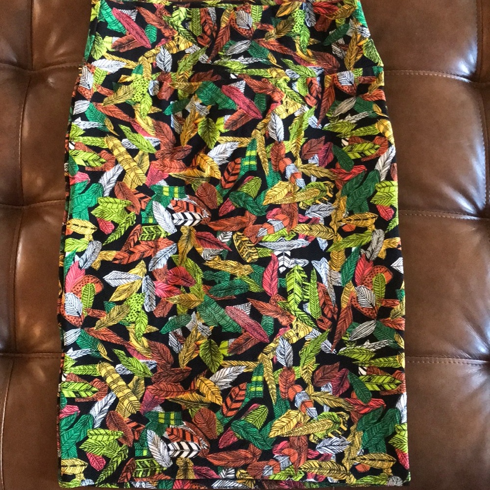 Perfect Condition LuLaRoe Cassie Medium Feathers